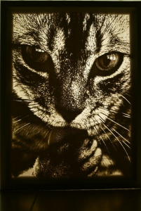 Lithophane Customized