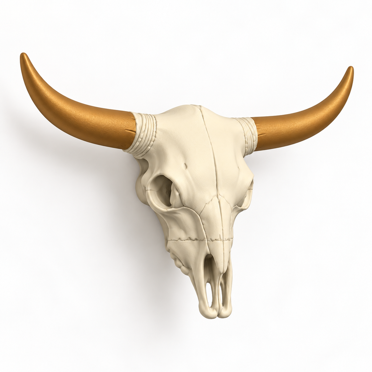 Rustic Cow Skull 3D Printed