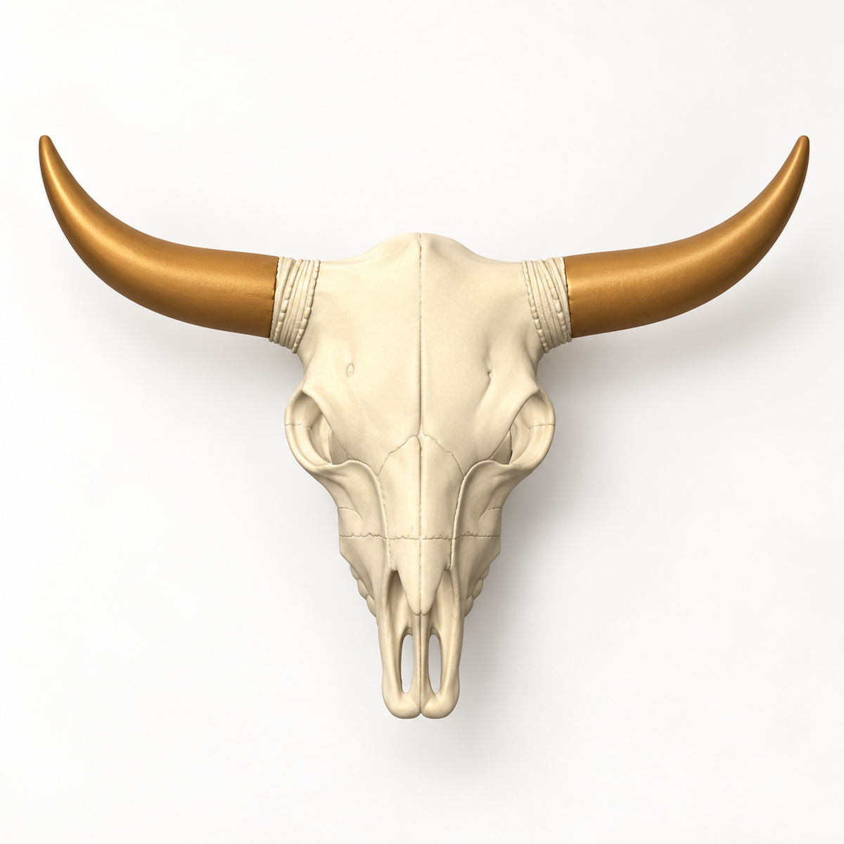 Rustic Cow Skull 3D Printed