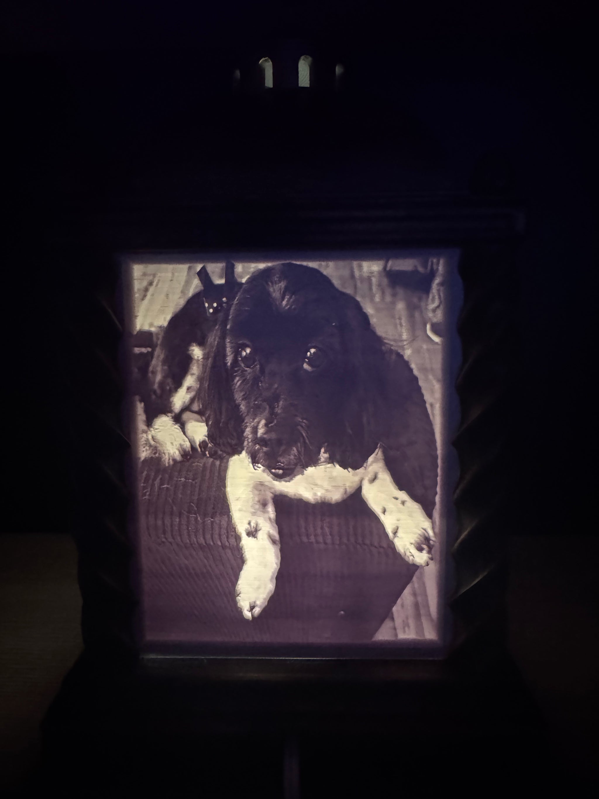 Lithophane Lantern